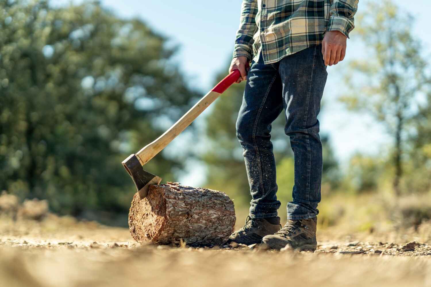 The Steps Involved in Our Tree Care Process in Independence, MO